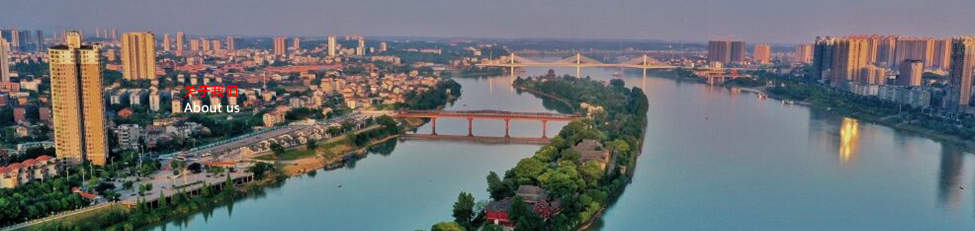 全自動(dòng)包裝秤